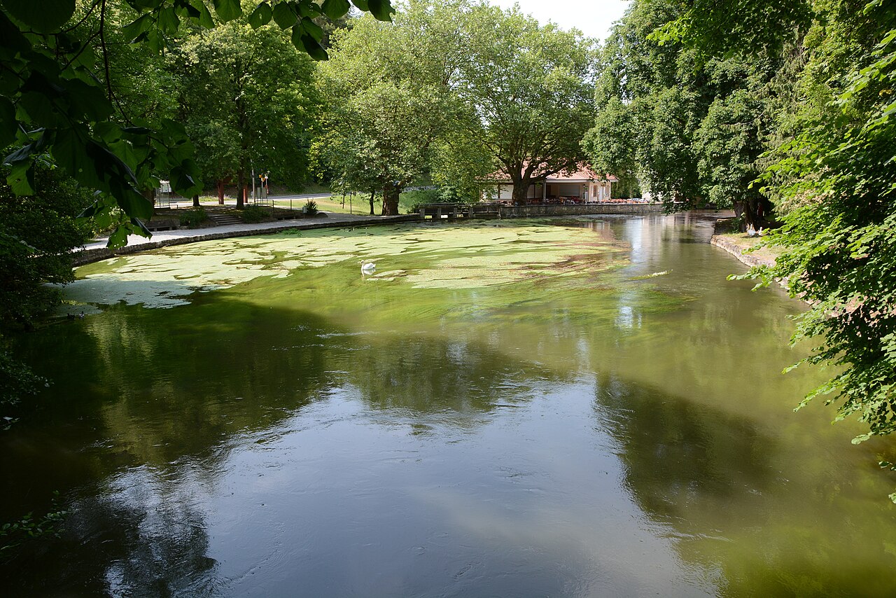 Aach spring, view from above the spring along the flowing river