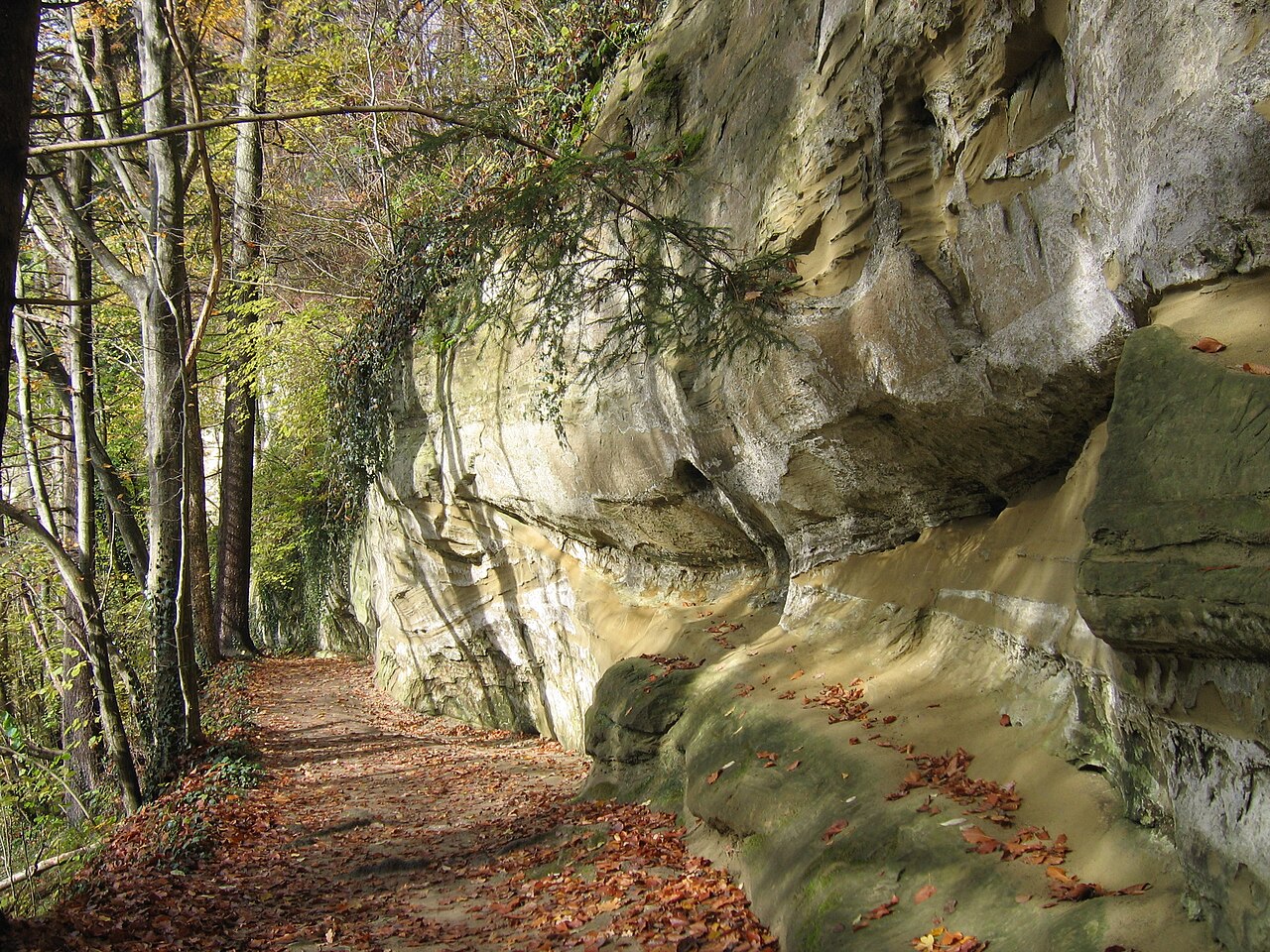Deutschland - Baden-Württemberg - Bodenseekreis - Frickingen/Owingen/Überlingen: im Naturschutzgebiet Aachtobel
