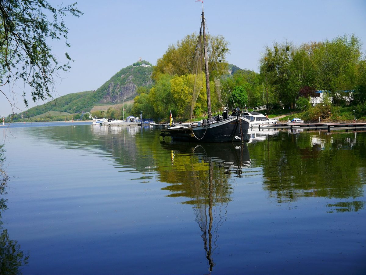 Foto von Aalschokker Aranka