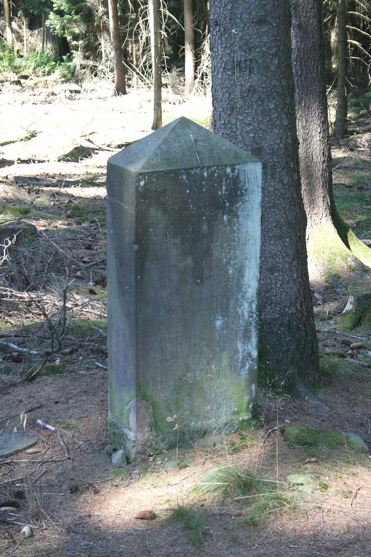 Der Adlerstein bei Würzberg - Denkmal, das an den vermeintlichen Fund eines römischen Legionsadlers erinnern sollte