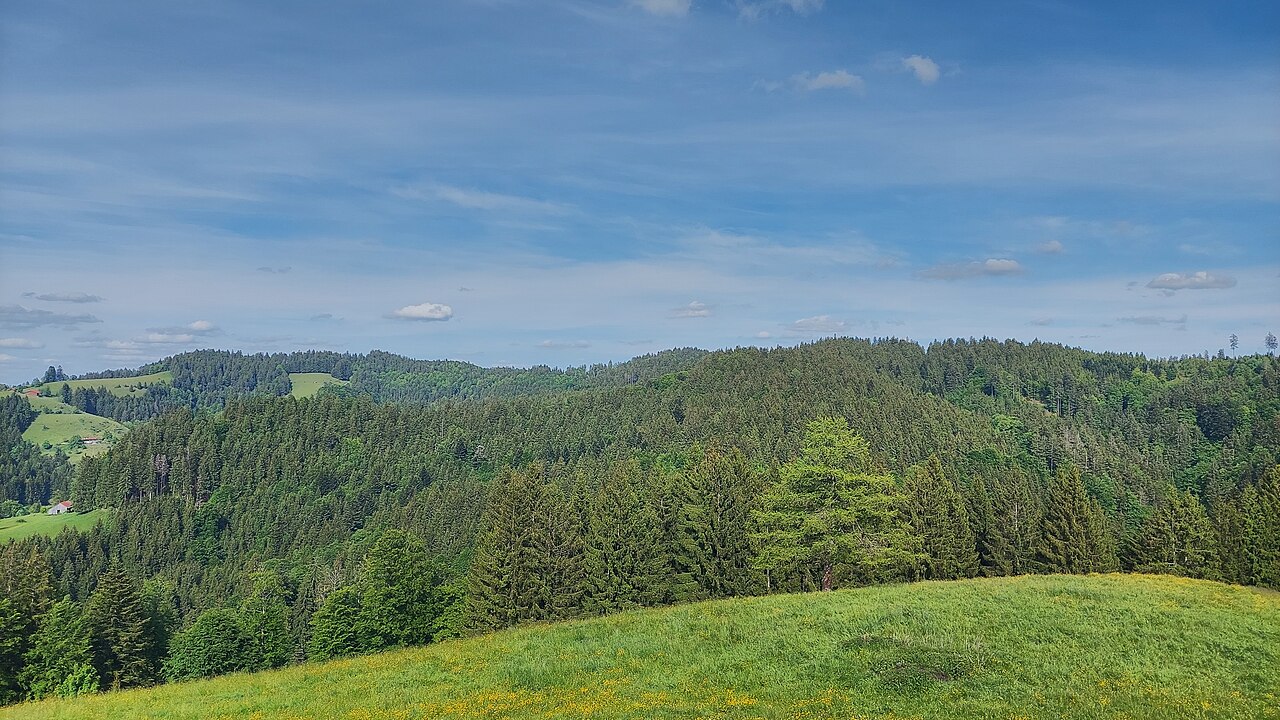 Kreuzleshöhe and Änger, view from Steinberg to the northeast
