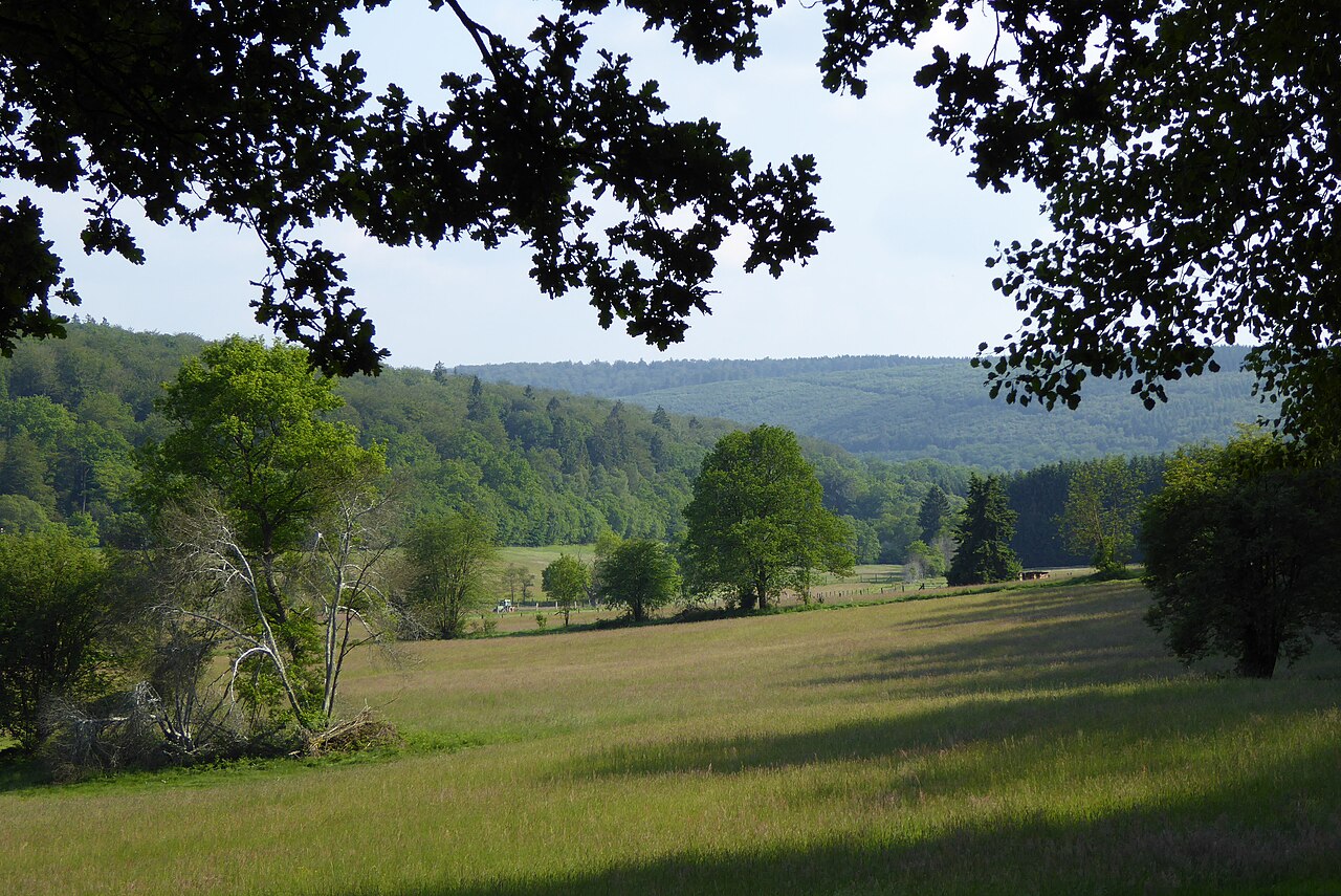 Naturschutzgebiet Ahlewiesen im Solling bei Neuhau (NSG HA 00164)
