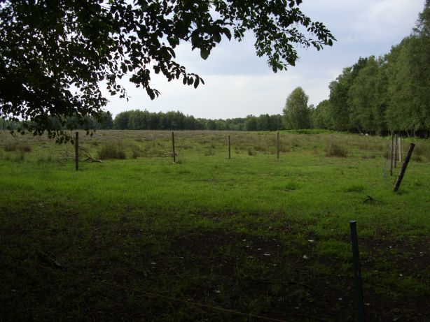 Naturschutzgebiet „Ahrensdorfer Moor“