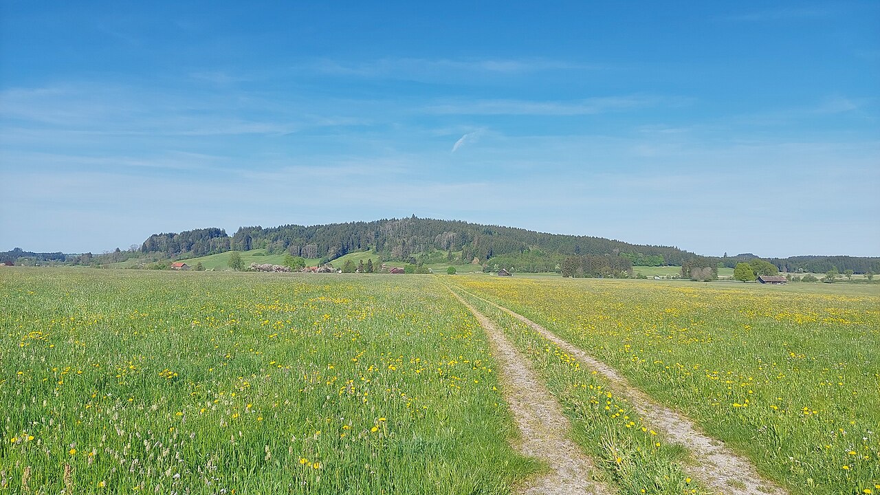 Aigeltshofer Berg and P