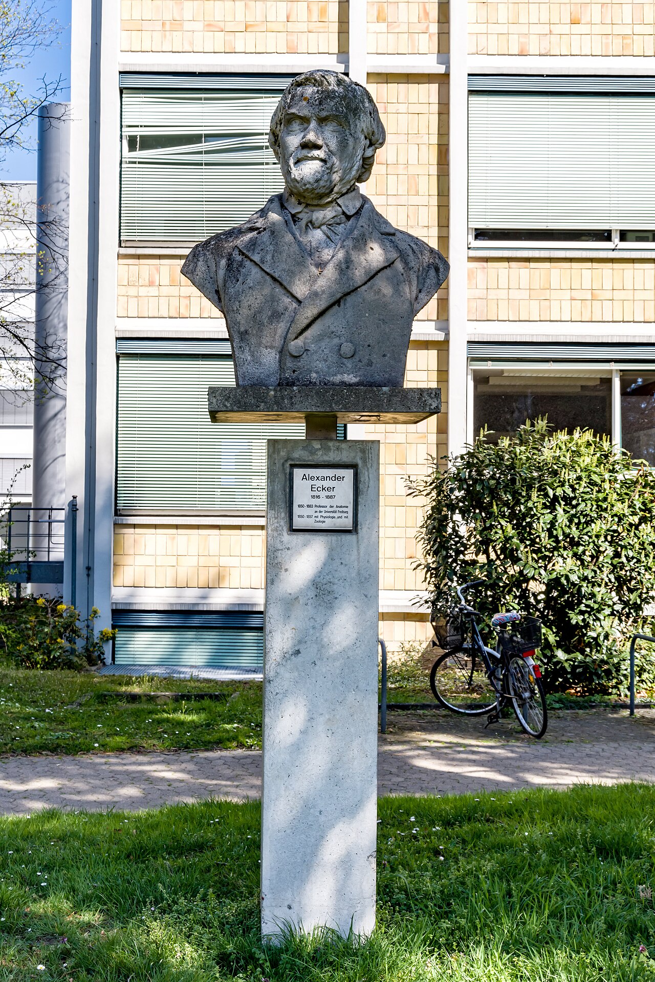 Foto von Alexander Ecker