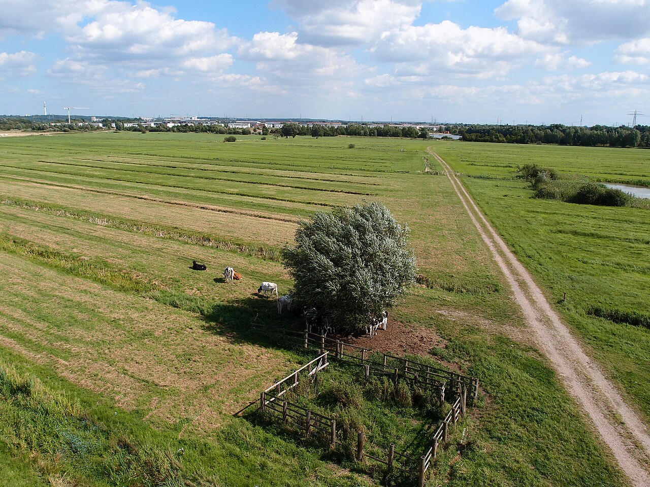 Allermöher Marsch (Blickrichtung Osten)