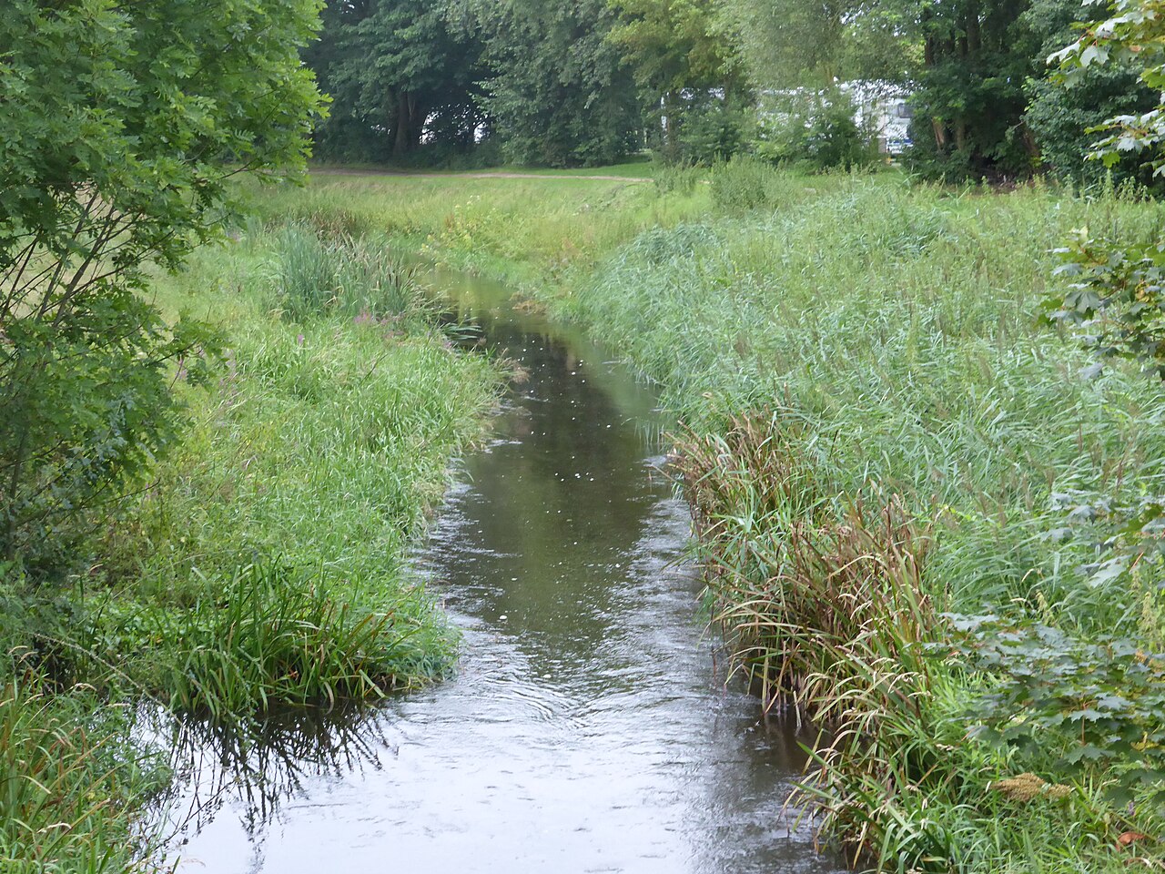 Die südliche Aller an der Konrad-Adenauer-Straße in Gifhorn