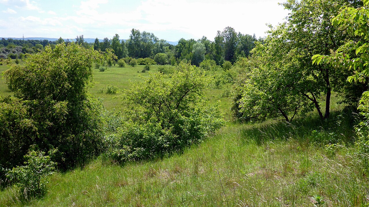 Naturschutzgebiet „Allmendäcker“ is a nature reserve in Baden-Württemberg, Germany