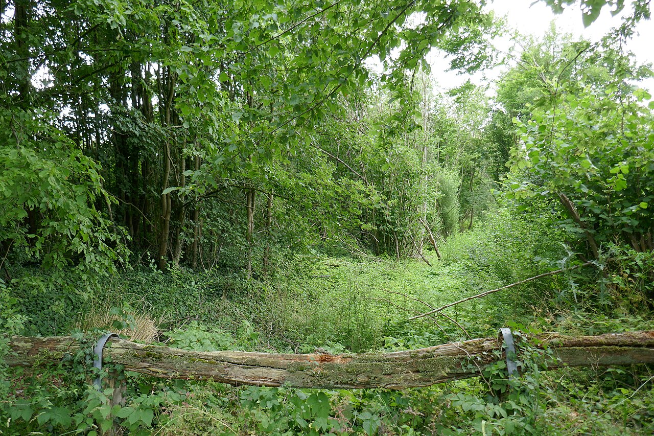 Landwehr bei Kesseler