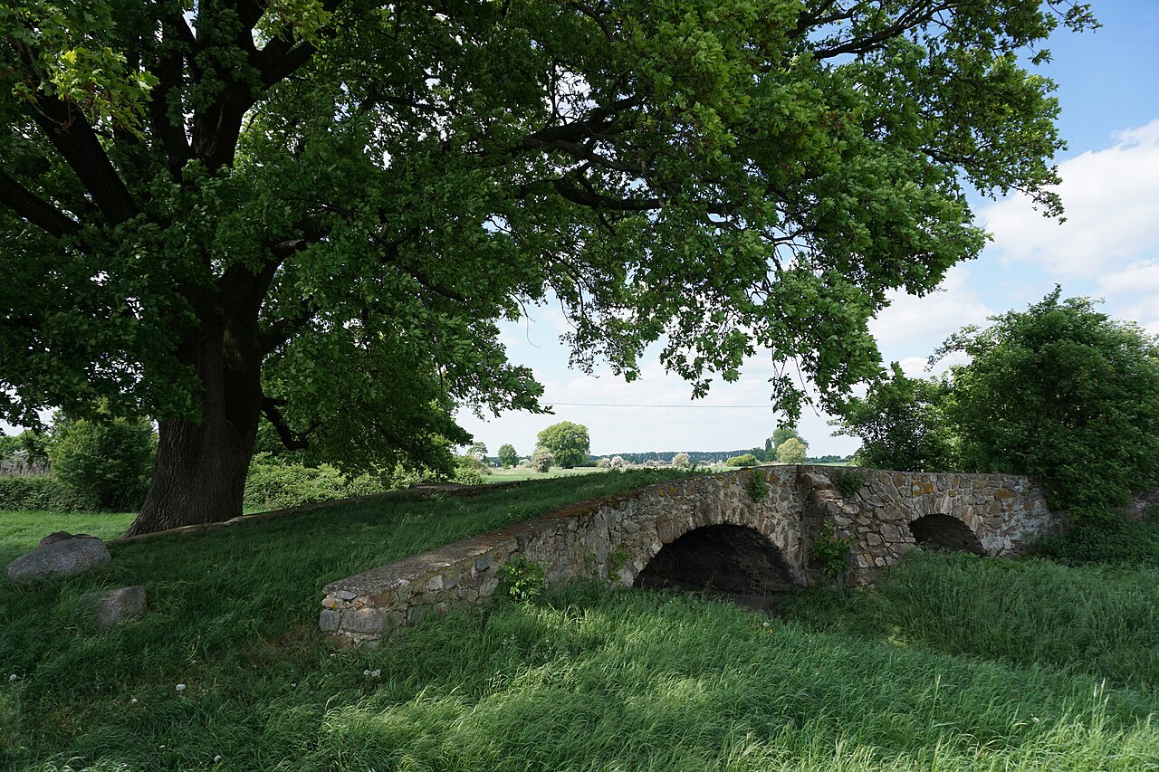 Römerbrücke mit Eiche, bei Weinheim
