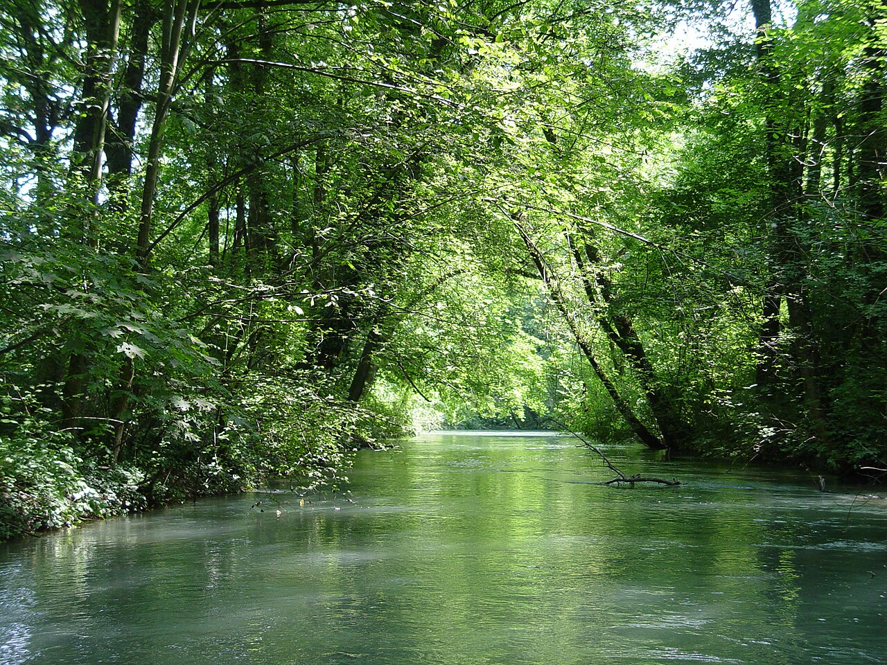 Alte Aare nördlich von Aarberg