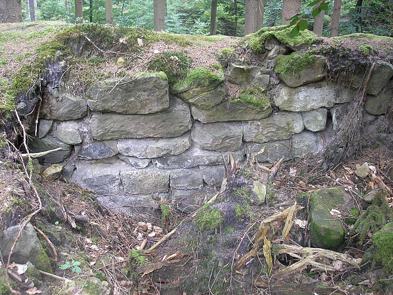 Frühmittelalterlicher Ringwall Alte Burg (Altenstein), Landkreis Haßberge, Unterfranken