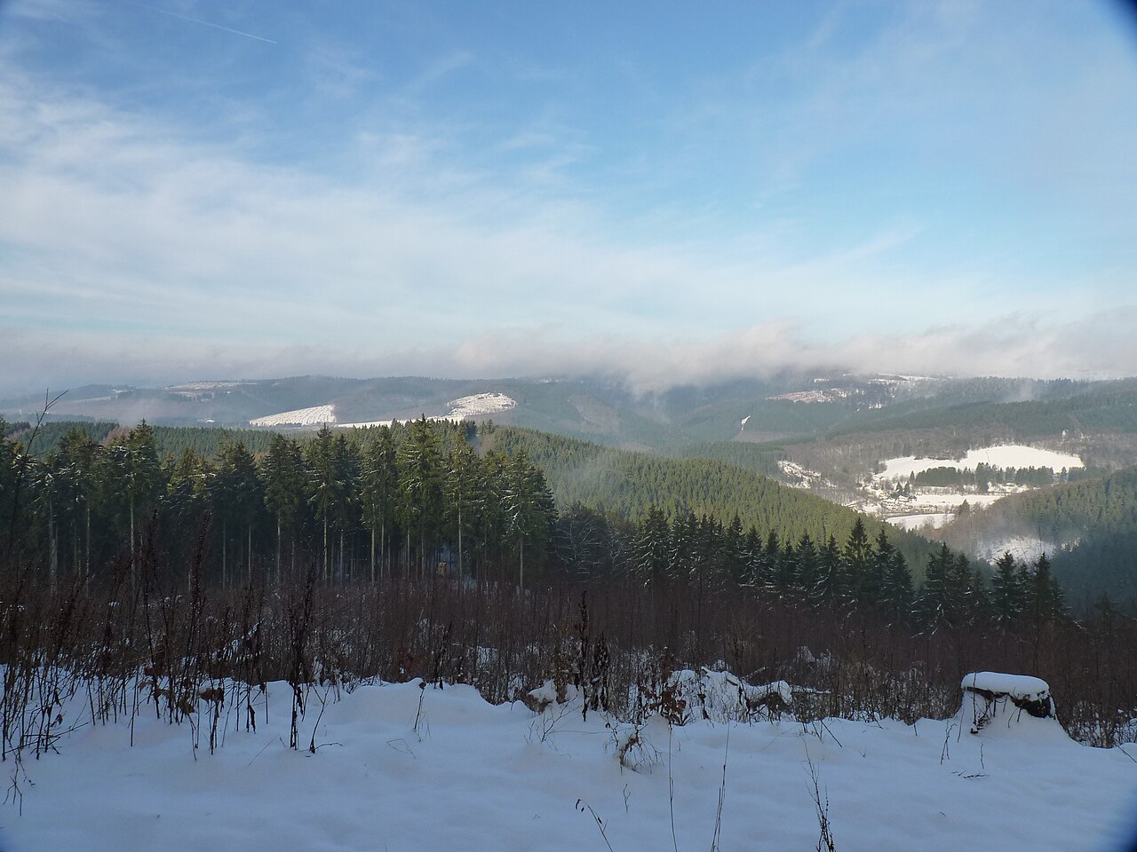 Ausblick von der Alten Burg in Richtung Kindelsberg
