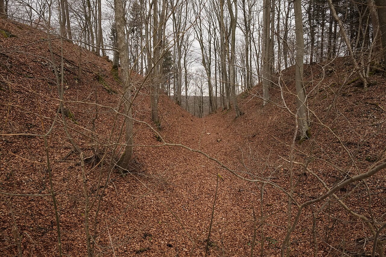Hillfort Alte Burg , Langenenslingen, district Biberach, Baden-Württemberg, Germany