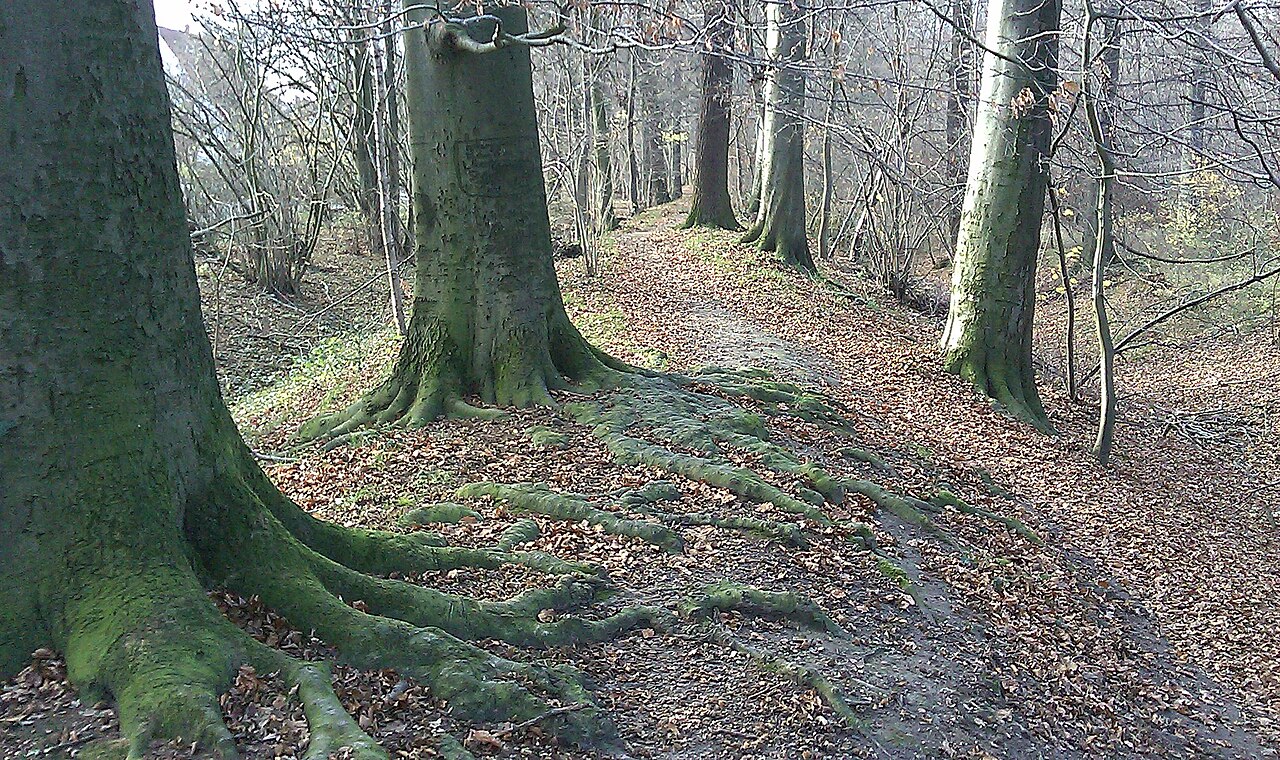 Historische Überreste der Braunschweiger Landwehr