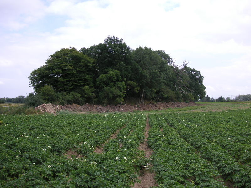 Burgwall Demmin Vorwerk