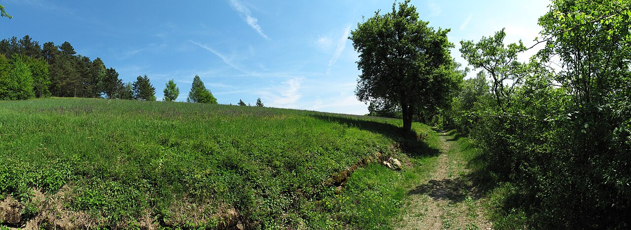 Altenberg (Naturschutzgebiet 1
