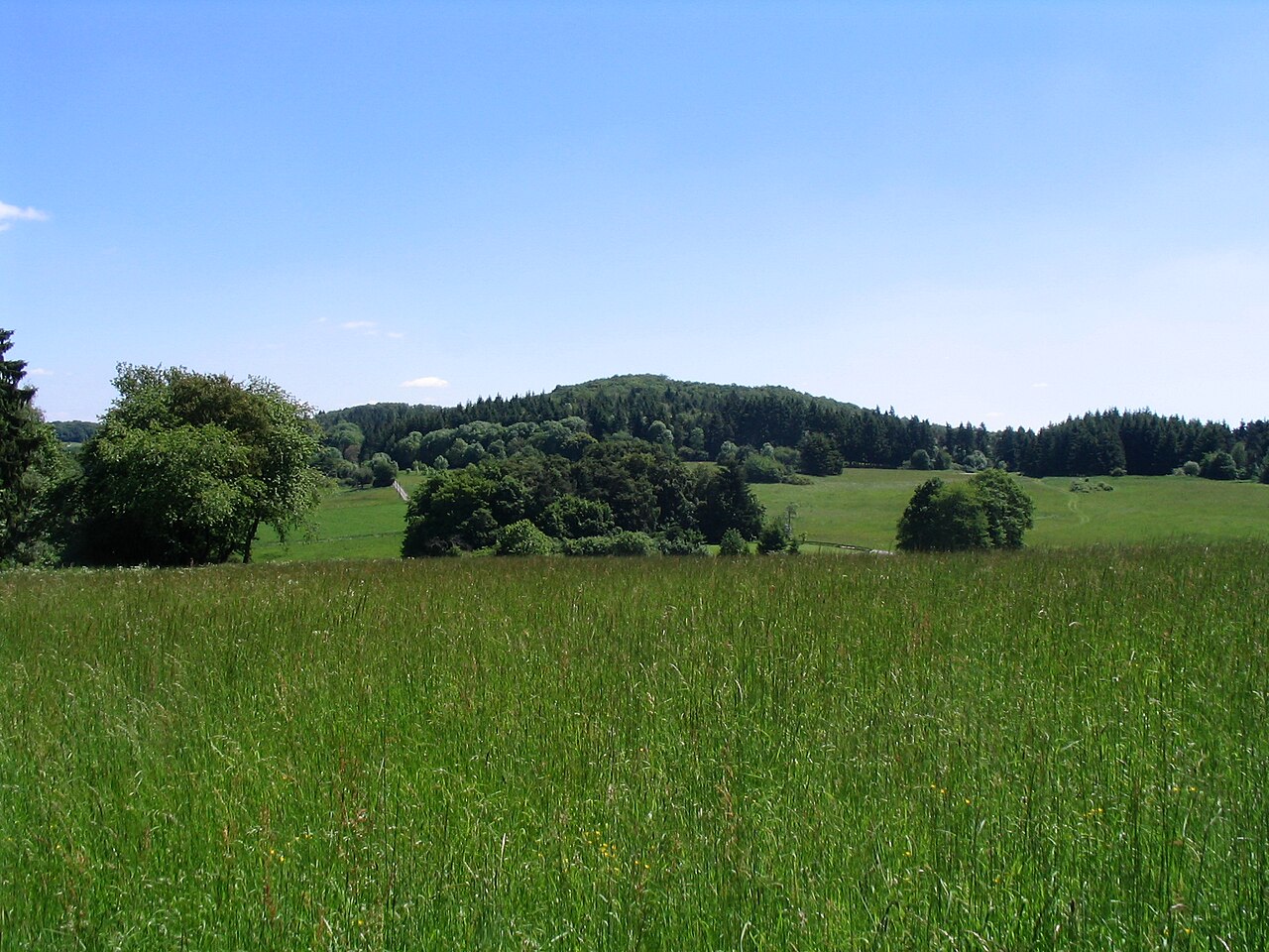 Der Altenberg (442 m), höchster Berg der Gemeinde Hohenahr im Lahn-Dill-Kreis von Westen