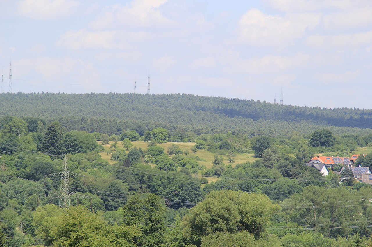 Der Altenmarkskopf