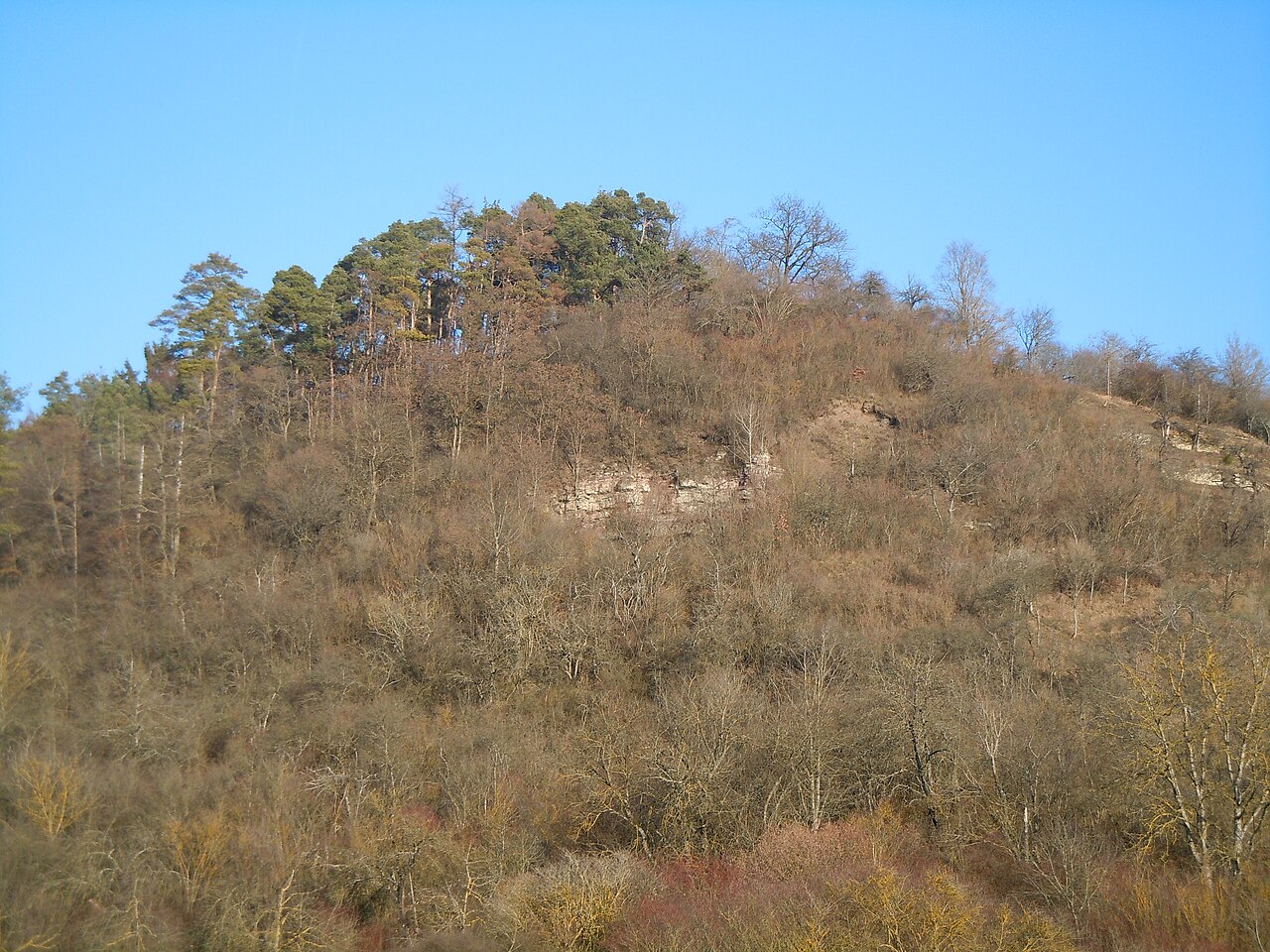 Ehemalige Gipsgrube am Alten Berg nordöstlich von Pfäffingen (Ammerbuch)