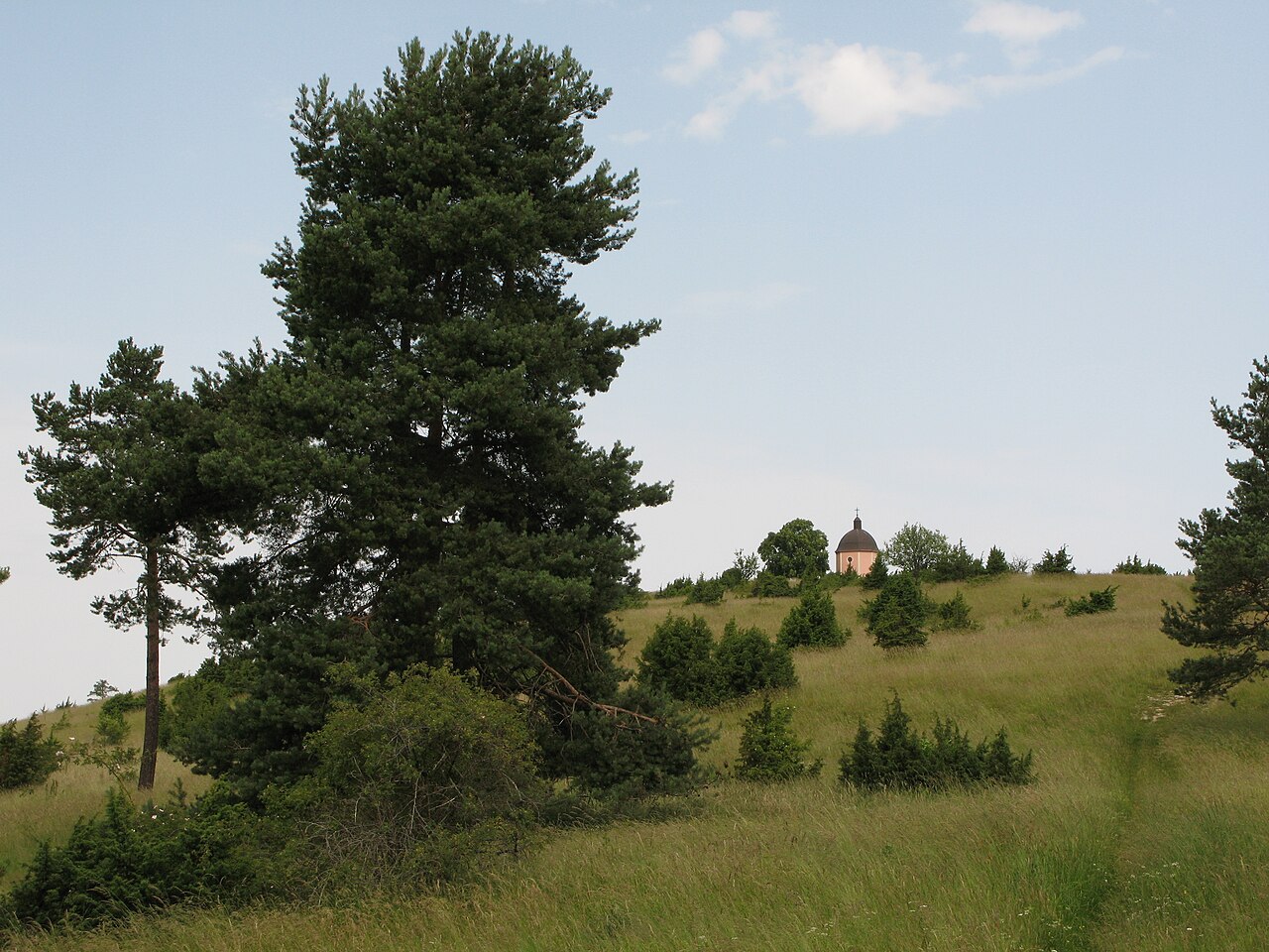 Foto von Alter Berg