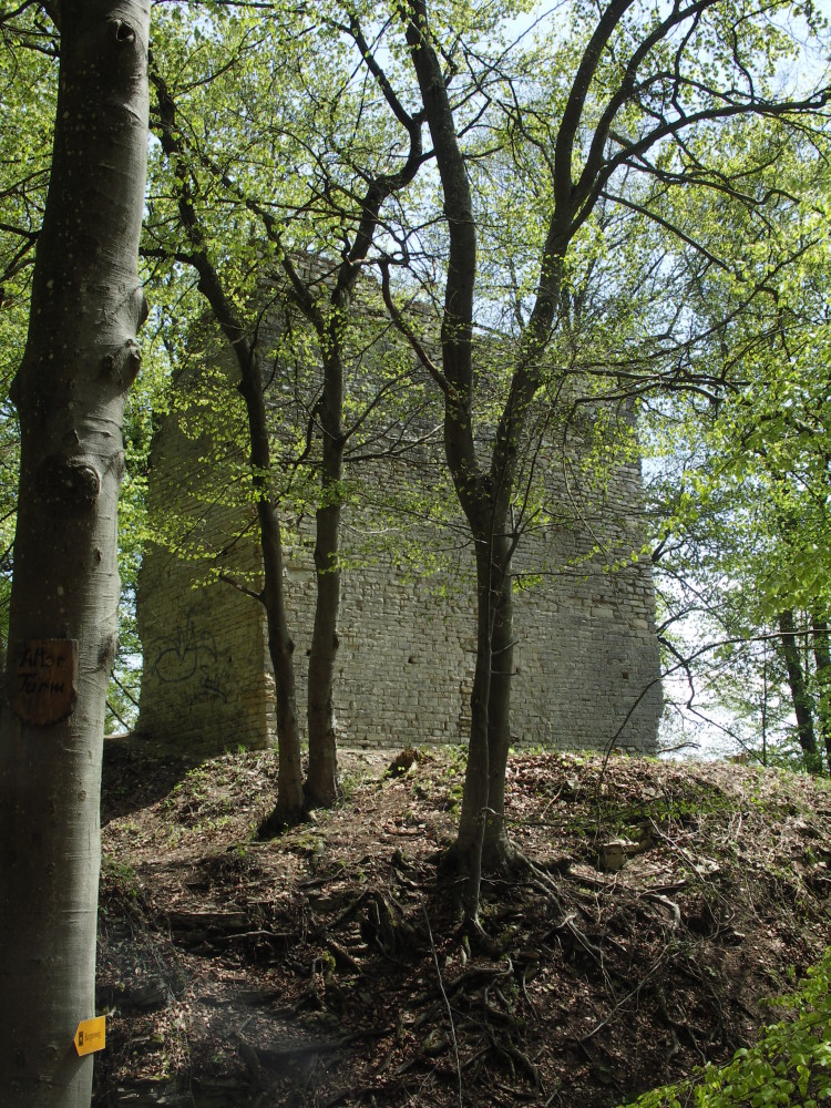 Bildbeschreibung: Alter Turm Aach Fotograf/Zeichner: Peter Schmenger Datum: 1