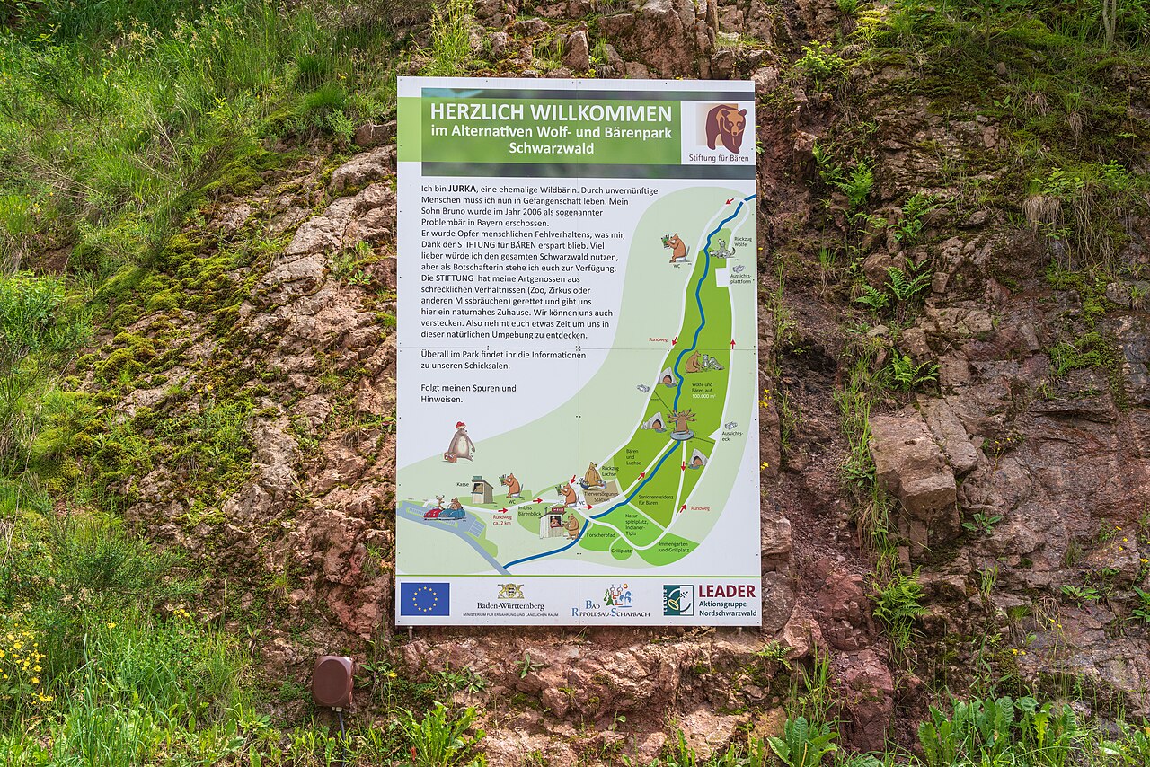 Alternativer Wolf- und Bärenpark Schwarzwald