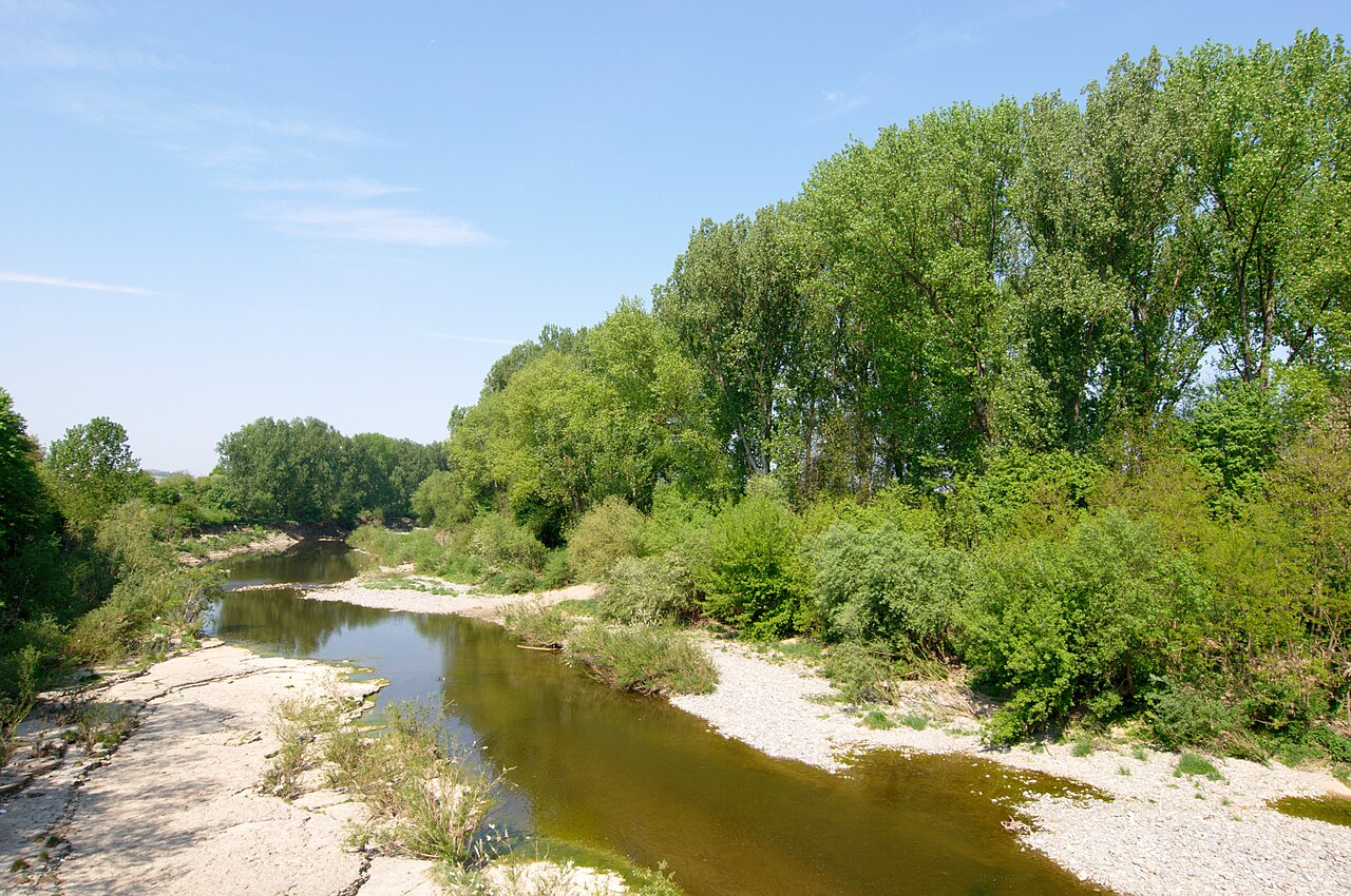 Altneckar nature preserve near Freiberg am Neckar