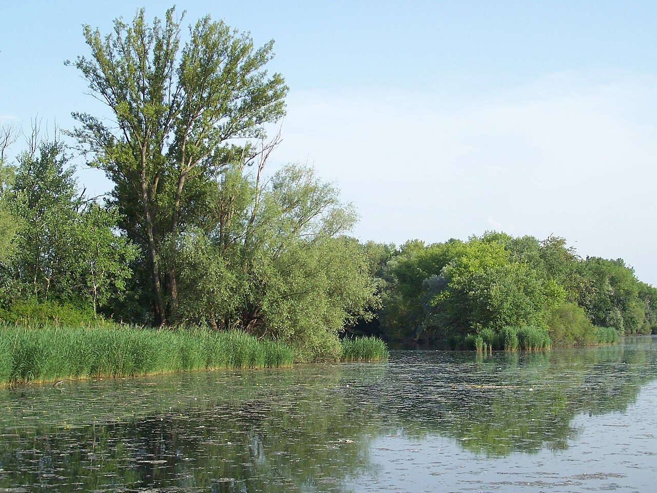 Naturschutzgebiet Altrhein Maxau, Karlsruhe, Baden-Württemberg, Schutzgebiets-Nr