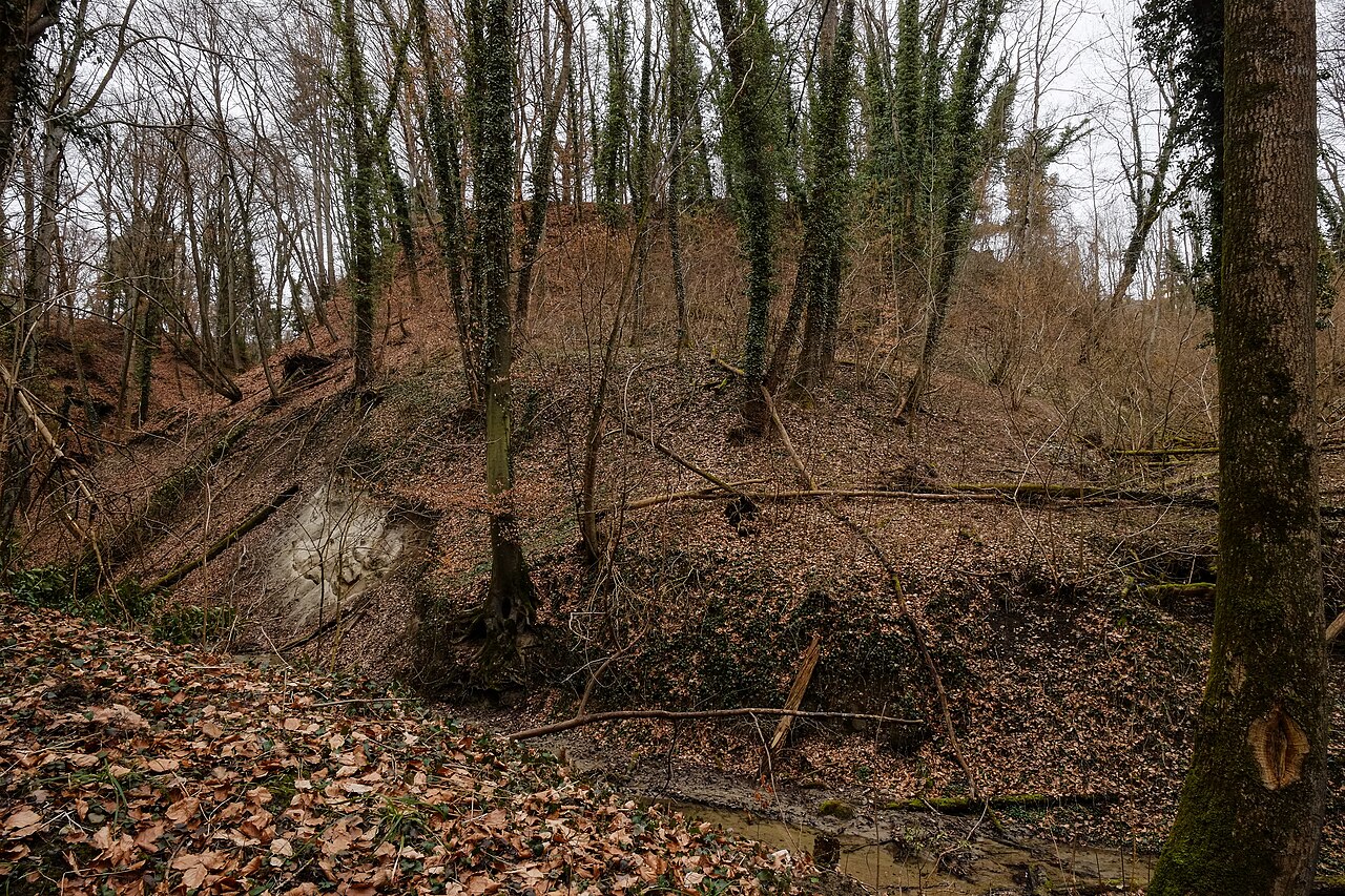 Foto von Altschloss