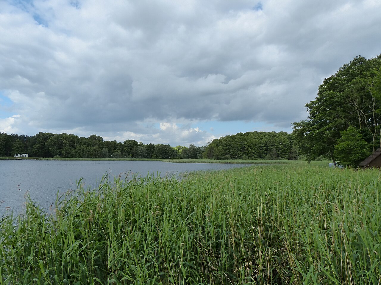 Altwigshagener See, Südteil, links das Freibad