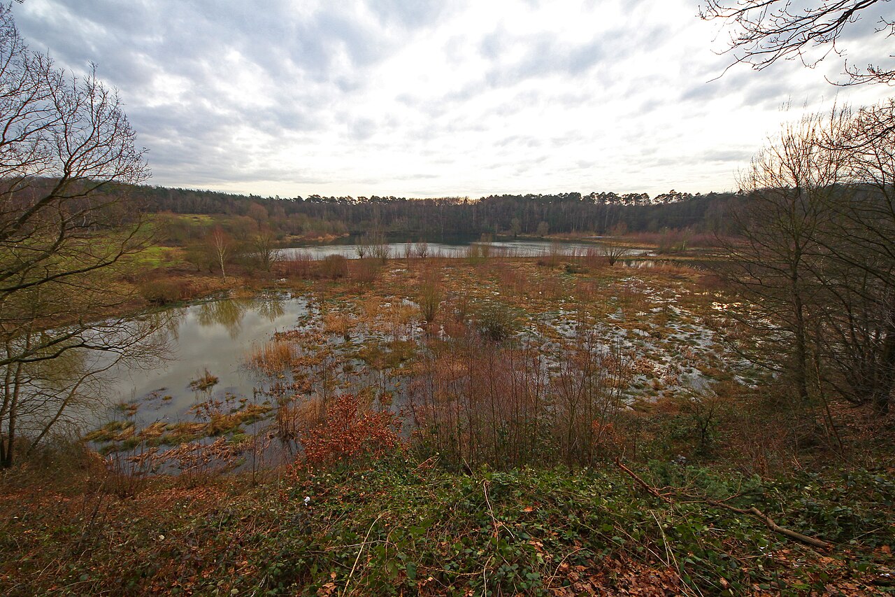 Naturschutzgebiet am Hornpottweg an der Grenze Köln/Leverkusen