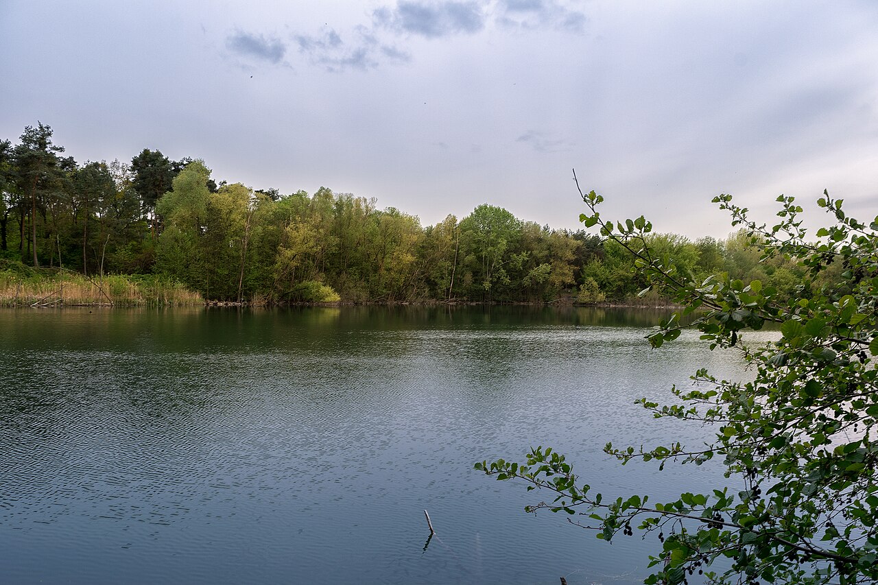 Der See im NSG Am Kleewoog von Gräfenhausen