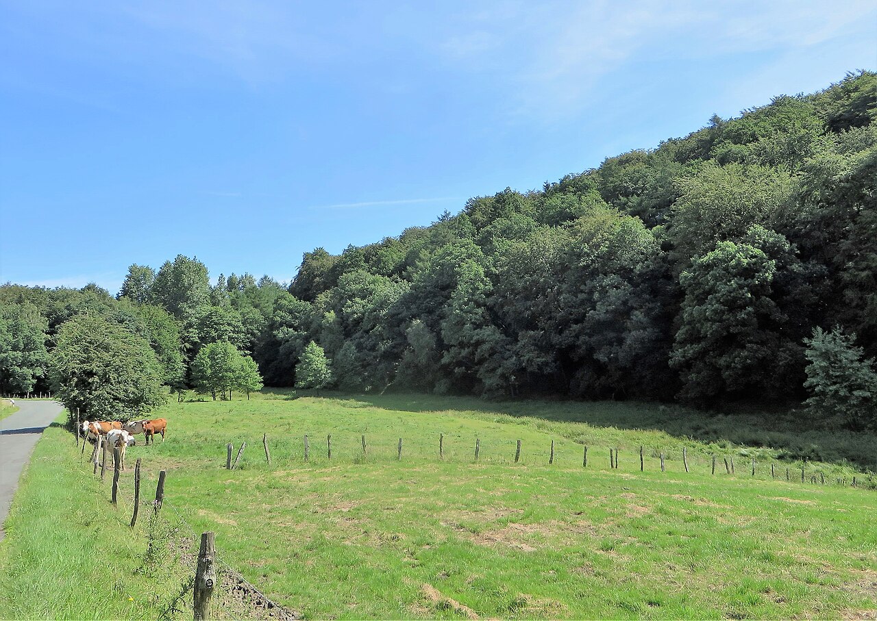 Naturschutzgebiet „ Am Nockenberg “ (NSG EN-016) in Sprockhövel