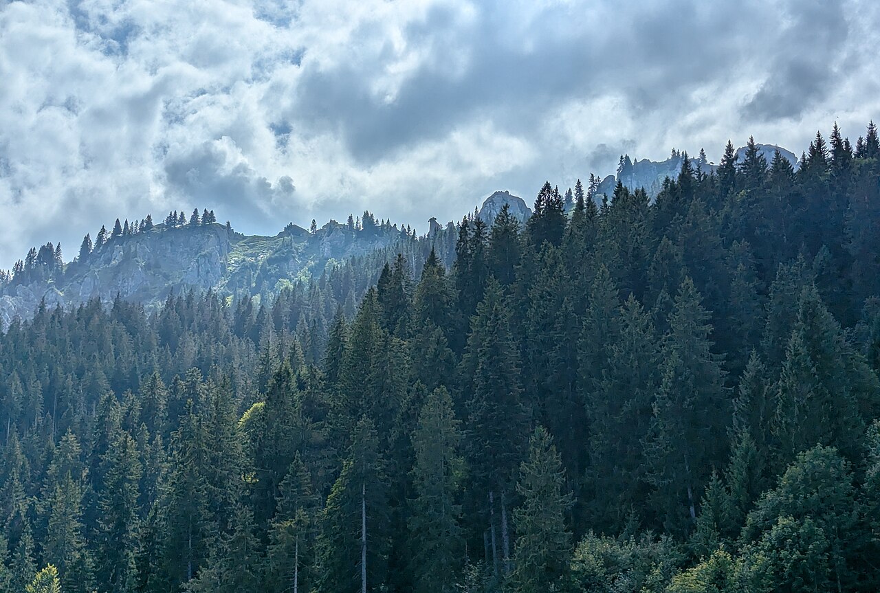 Am Zahn (Berggipfel in Deutschland)