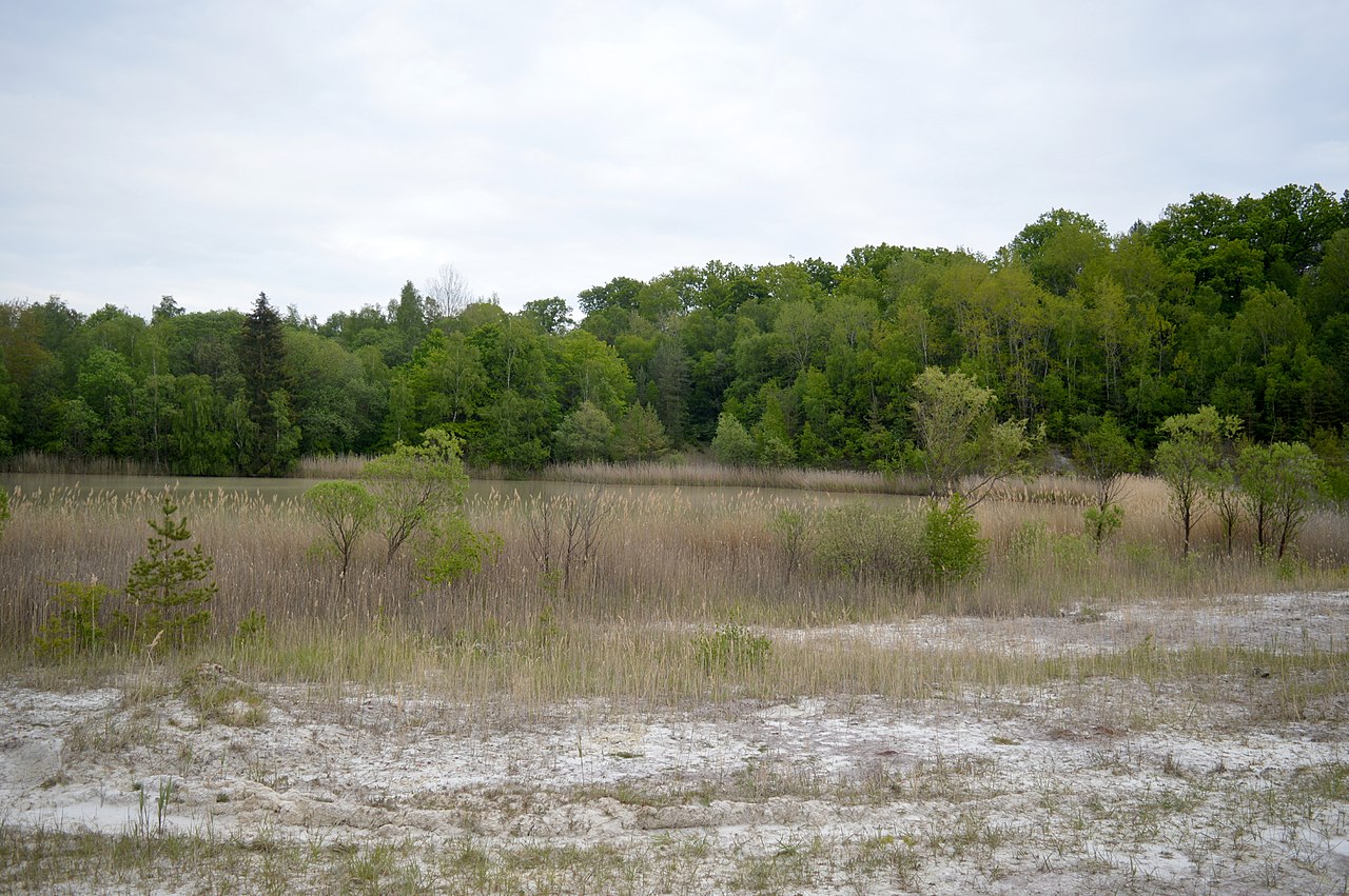 NSG Amphibienbiotope an der Hohen Warte - Gewässer (13)