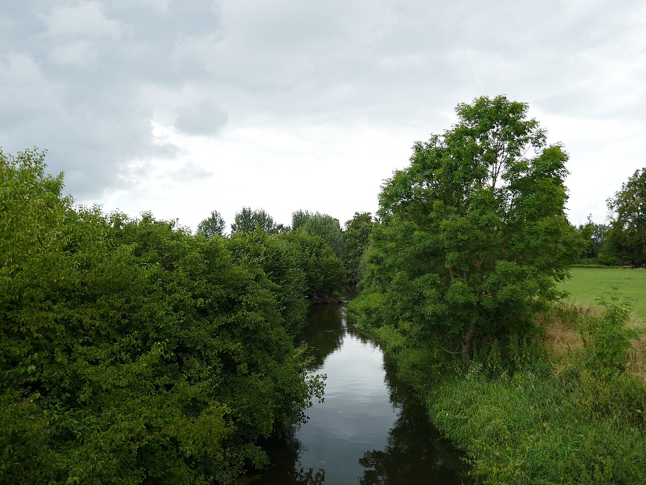 Naturschutzgebiet „Angel westlich der K 33“ bei Alverskirchen