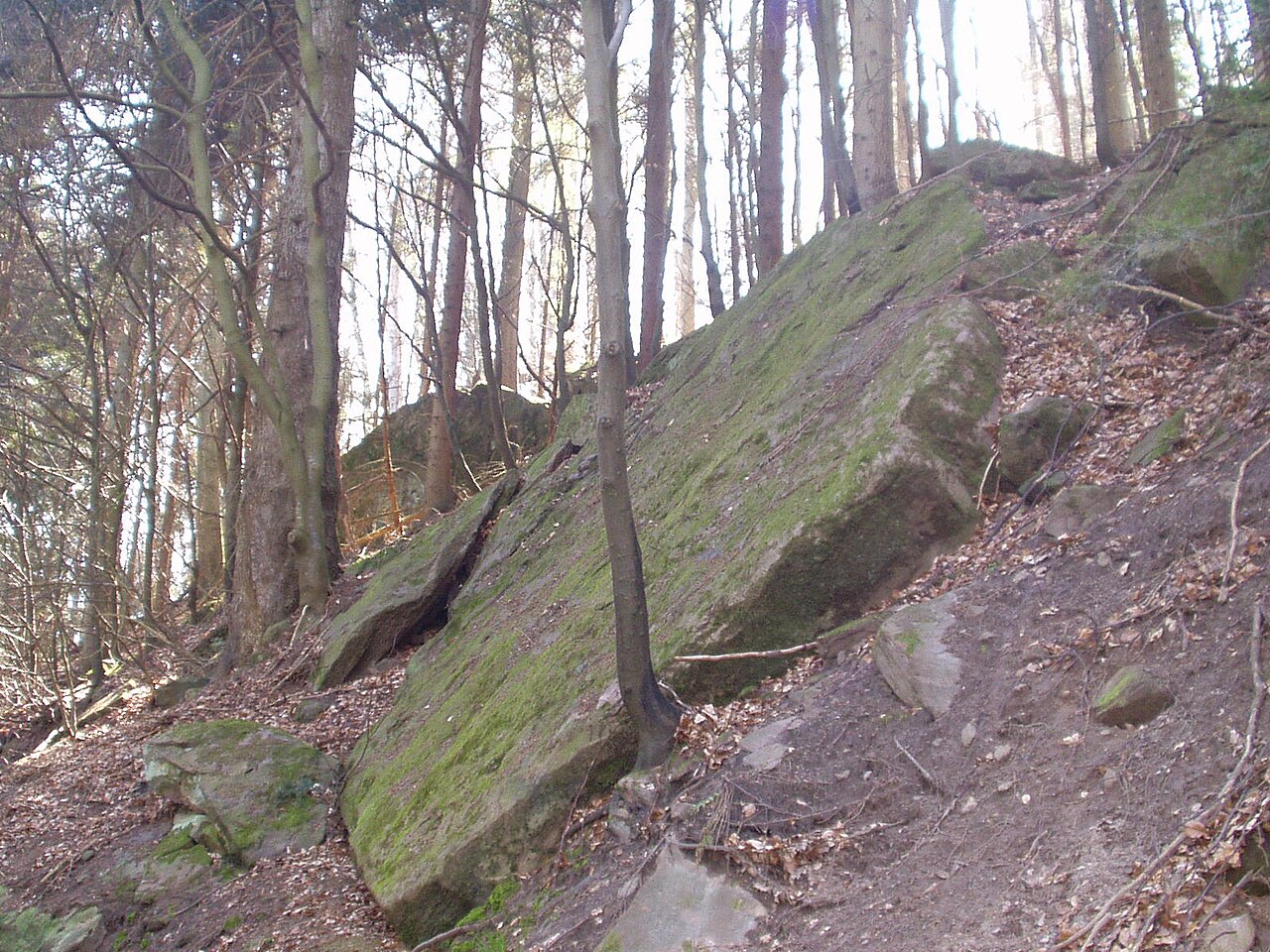 Angelstein , Naturdenkmal in Neuenbürg, Enzkreis