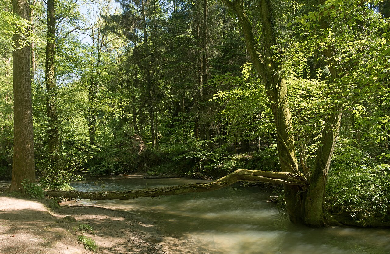 near Ratingen, natural landscape: Naturschutzgebiet Angertal
