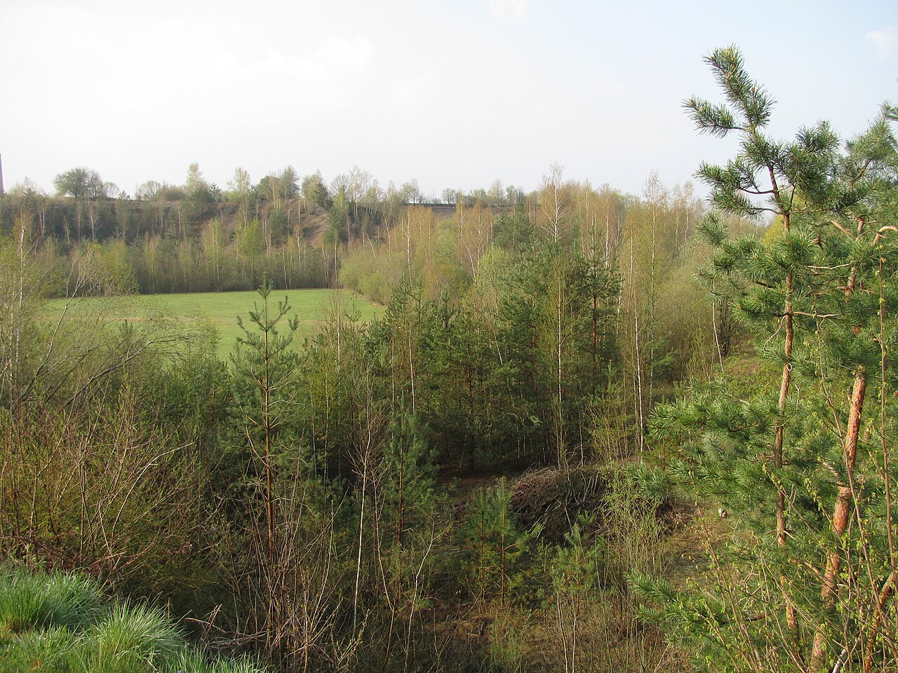 Germany - Baden-Württemberg - district Ravensburg - Baindt: view to the nature reserve 'Annaberg'