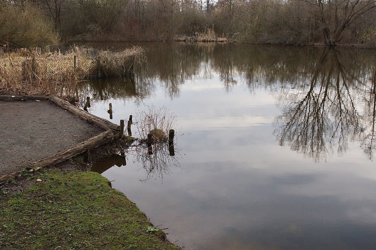 Annateich im Hermann-Löns-Park in Hannover, Niedersachsen, Deutschland