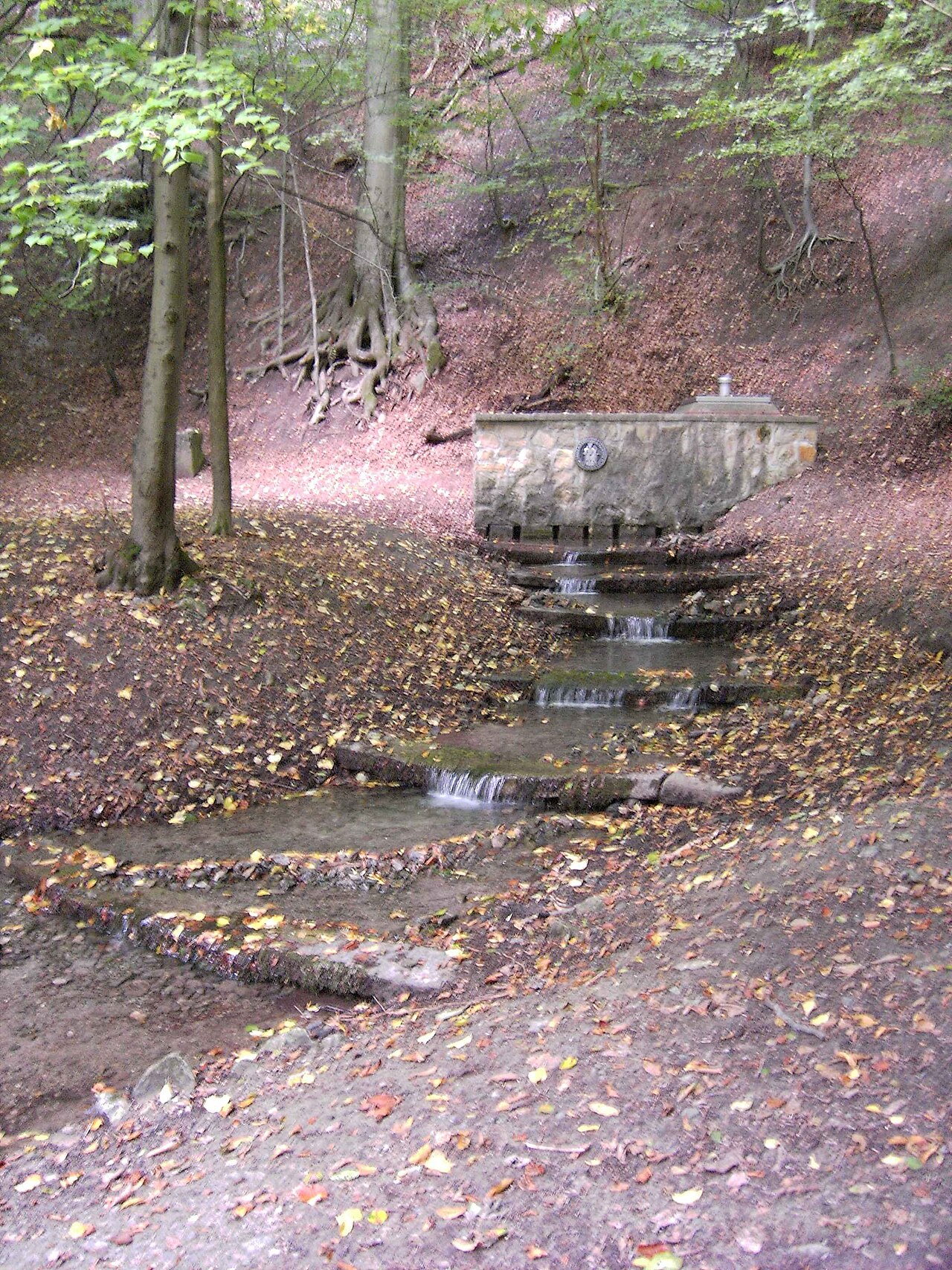 Eastern Apenteich spring