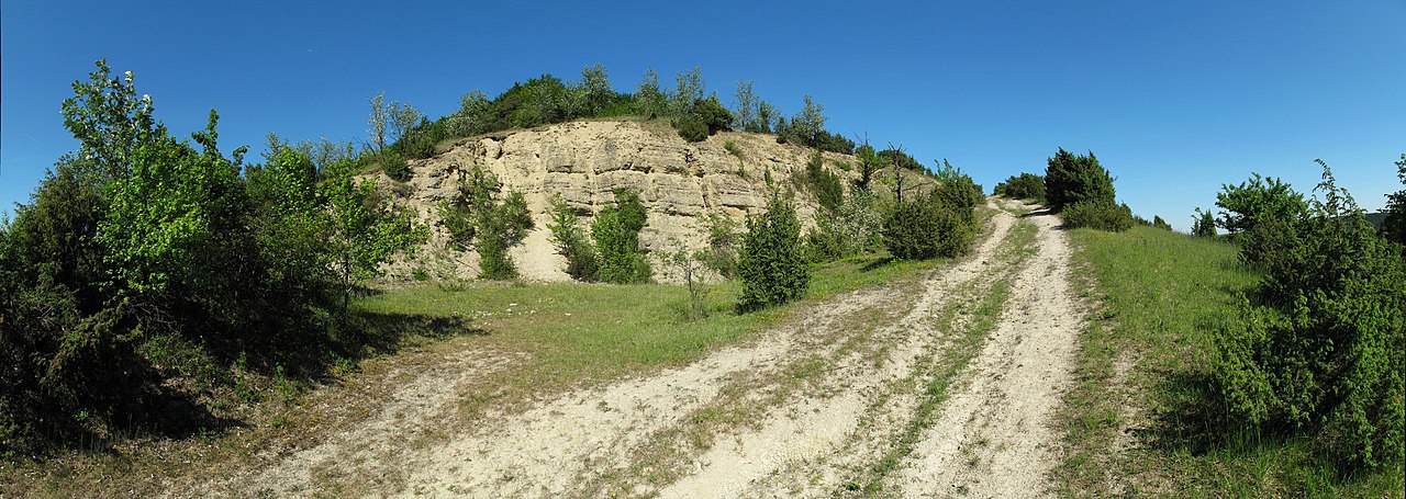 Apfelberg (Naturschutzgebiet 1