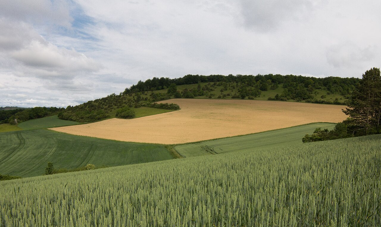 Blick zum südlichen Teil des Naturschutzgebiets „Apfelberg“, ältestes Naturschutzgebiet im Taubertal