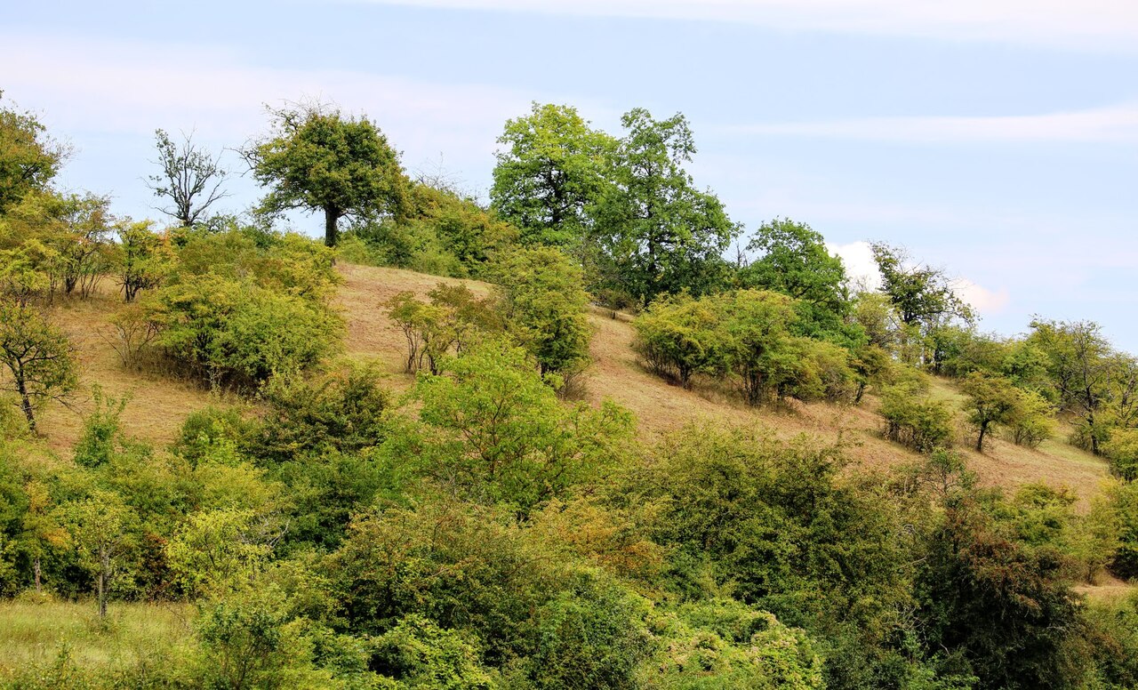 Blick auf das Naturschutzgebiet (Aufn