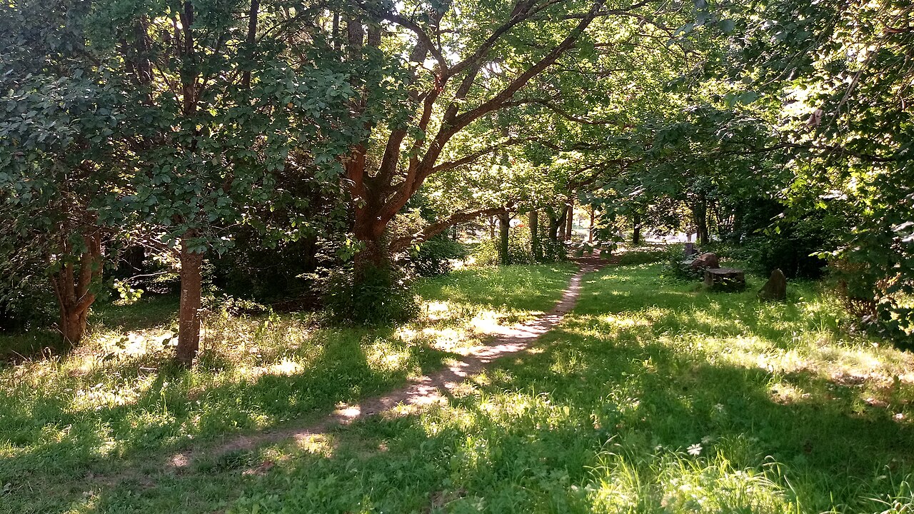 Arboretum Lauda (Arboretum am Rande Laudas)