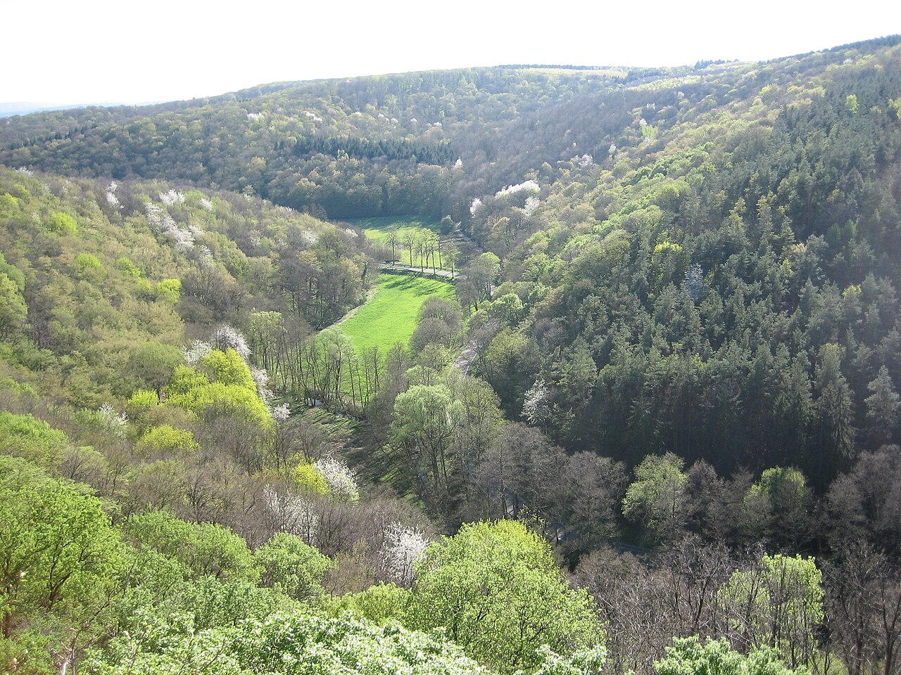 view from Teufelsrutsch, Wendelsheim , Germany