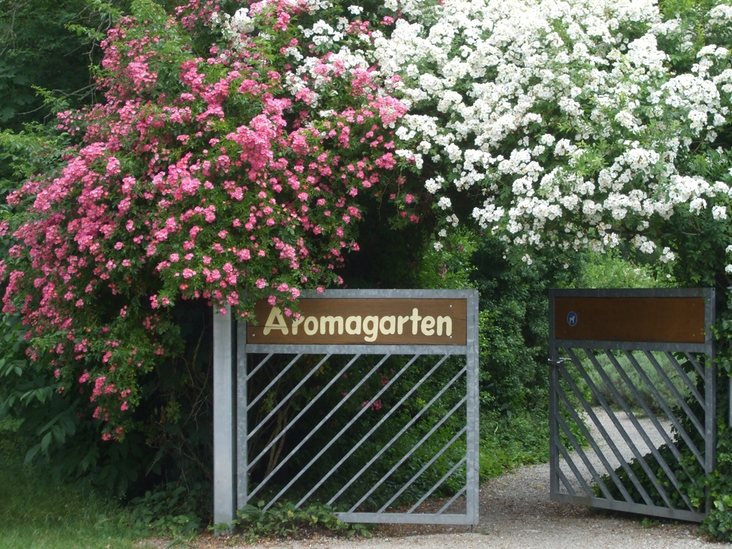 Eingang