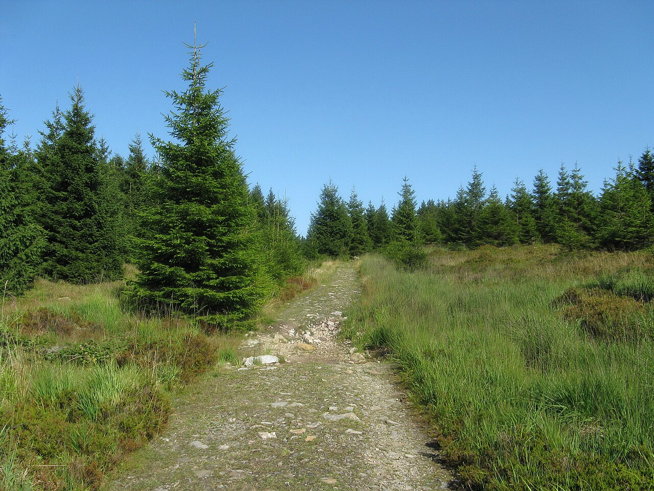 Reitstieg auf dem Acker