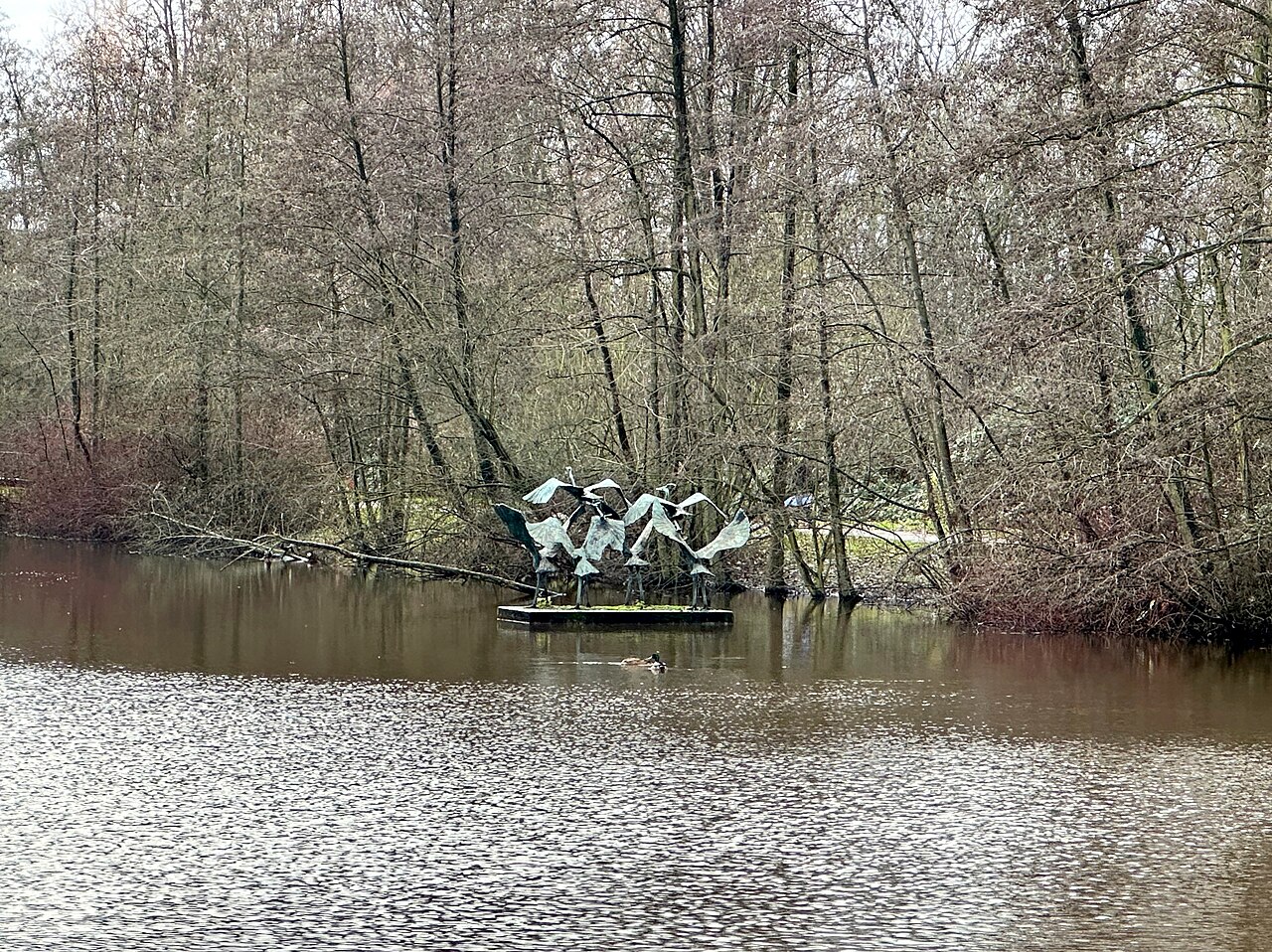 Foto von Auffliegende Reiher